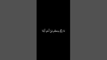 ماهر المعيقلي || شاشه سوداء قران || يا ايها الذين امنوا لا تتبعوا خطوات الشيطان || سورة النور