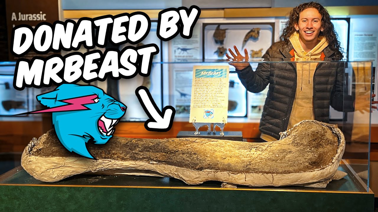 I Found the MrBeast Dinosaur Bone! - YouTube