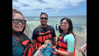 Whale Shark Interaction at Lila Bohol