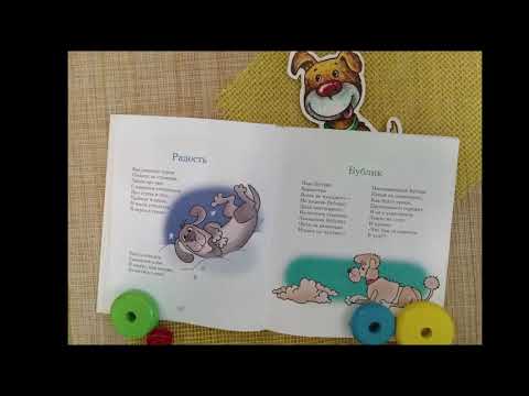 Пегас в крапинку: читаем ясные стихи!