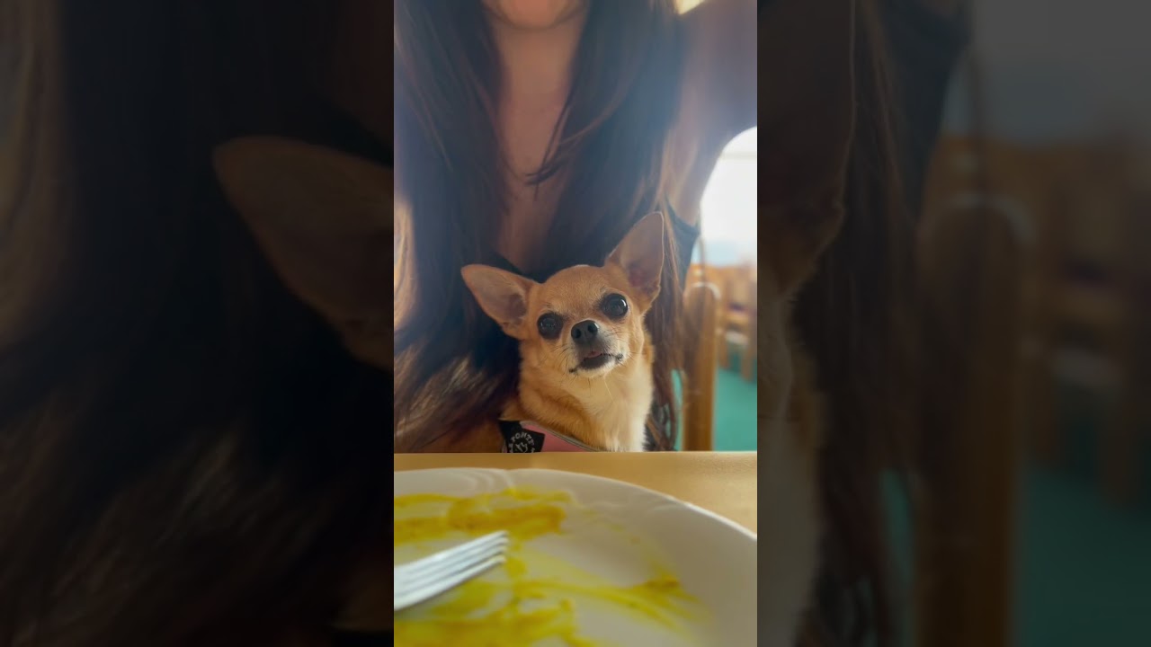 Fyziofitness Černošice - Cvičení na horách.