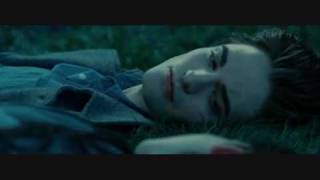 Twilight MV - Seventeen Forever