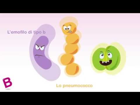 Video: Meningite - Meningite Nei Bambini