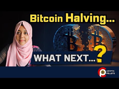 Bitcoin Halving 🤔…What next ⁉️Cryptocurrency |Malayalam| Trading | Bitcoin