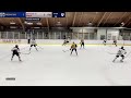 Pittsburgh Predators 15O AAA @  Shattuck St Mary's Sabres