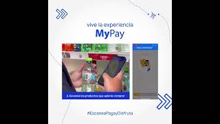 MyPay Demo