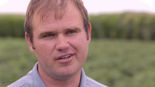 Why are DroughtGard Hybrids important for areas like Nebraska