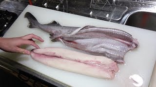 【ラブカ!?】深海1200メートルで捕獲された生物のお腹から･･･