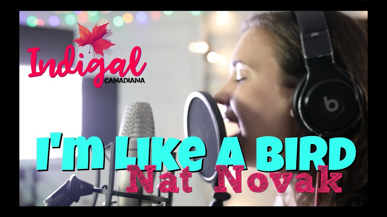 I'm Like A Bird - Nelly Furtado Cover - by Natalie Novak - Indigal ...