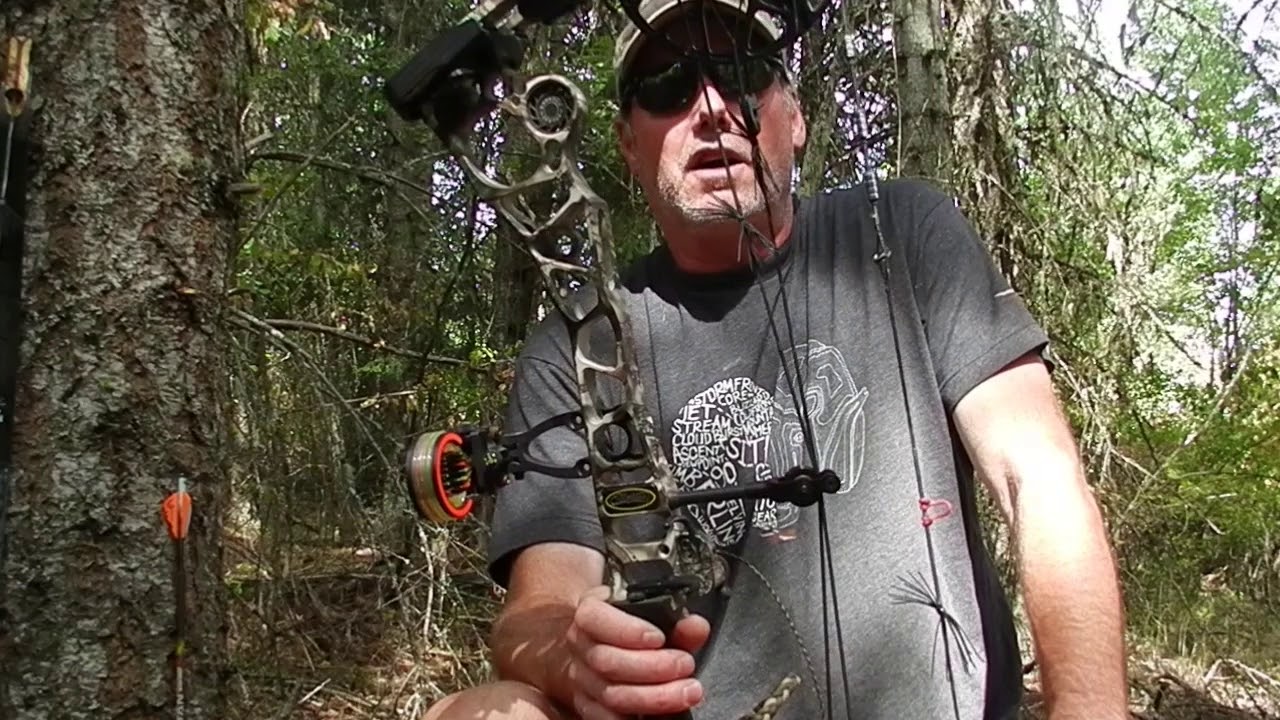 Mathew's Halon 7 - Patrick Meitin’s 2017 Hunting Bow Setups