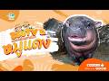 🔴 Live! Moo Daeng | 5-5-2026 , 00:00 | Zoo TV สวนสัตว์นครราชสีมา
