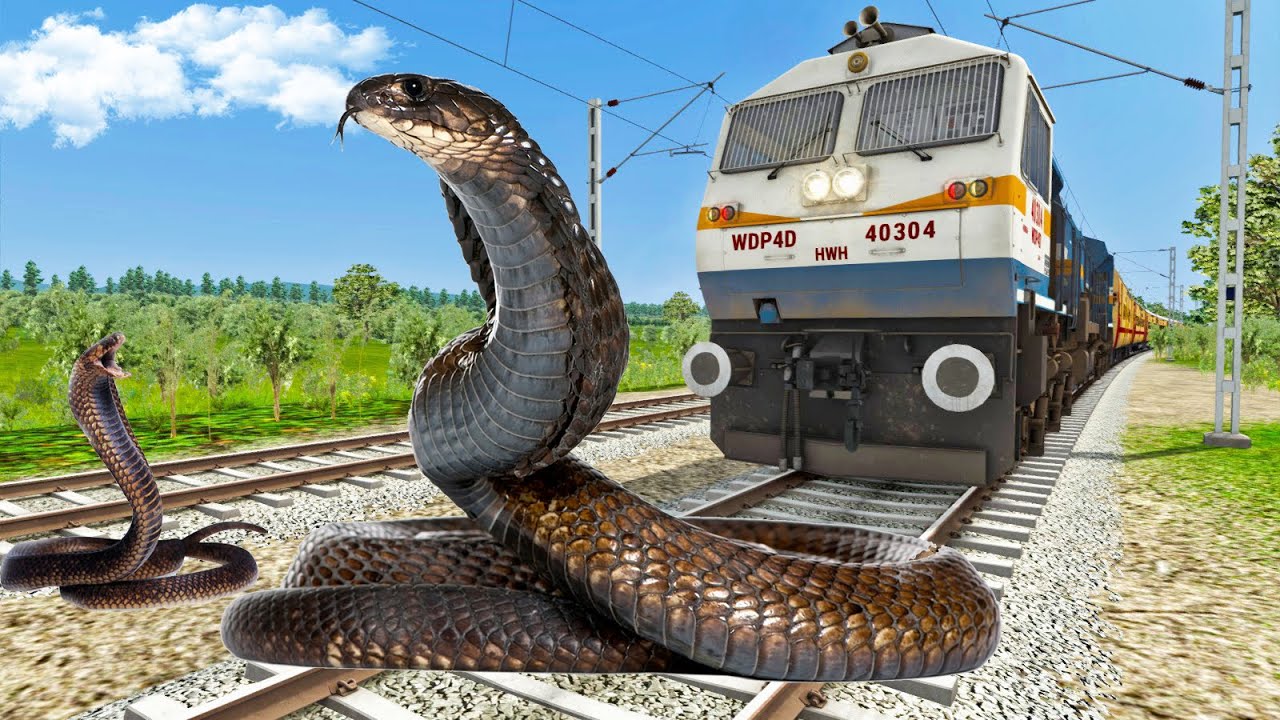 Massive Snake Stops the high - Speed Train and Escapes in Train ...
