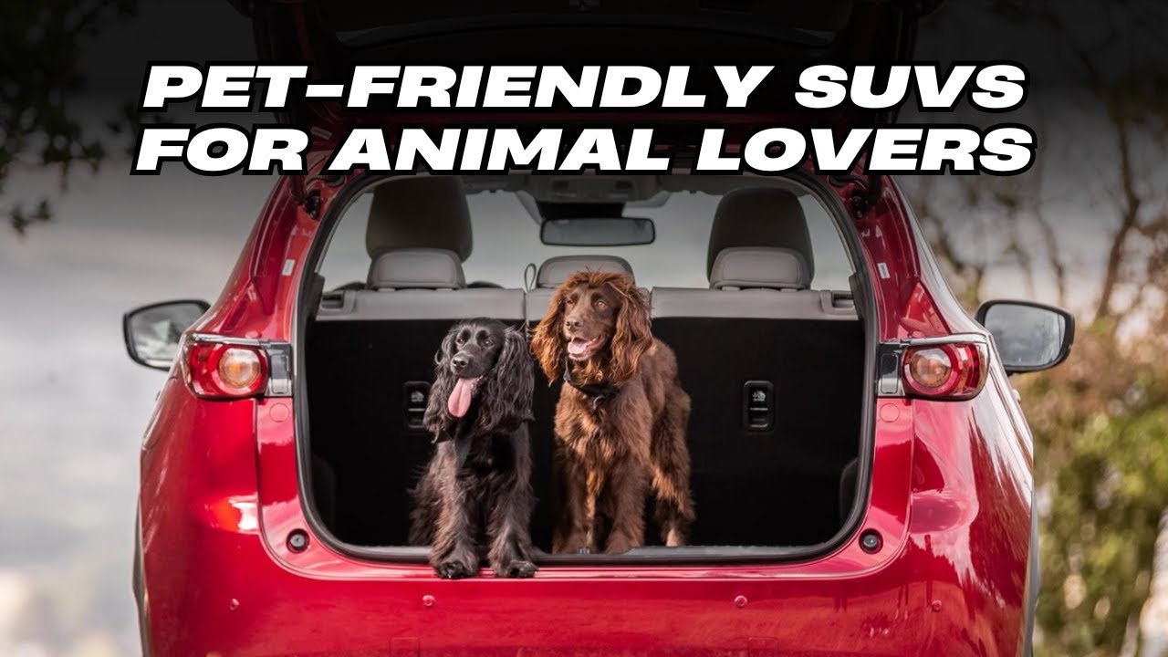 Top 10 PetFriendly SUVs for Animal Lovers YouTube