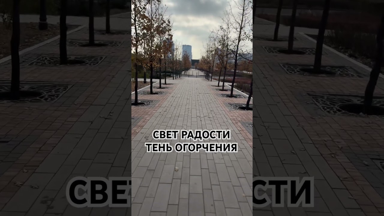 РАДОСТЬ И ОГОРЧЕНИЕ, Мудрость