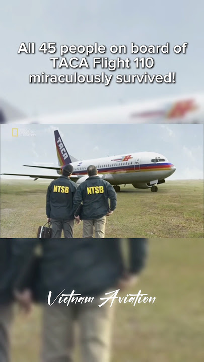 Short Story of TACA Flight 110 | #shorts #taca #b737 #b737300 #boeing #engine #pilot #plane #landing