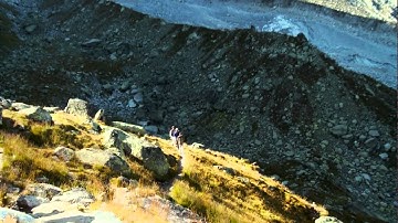 Savas Dimopoulos: Good Career Advice