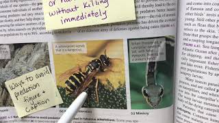 Chapter 4 Sticky Notes pgs. 74-84 CED