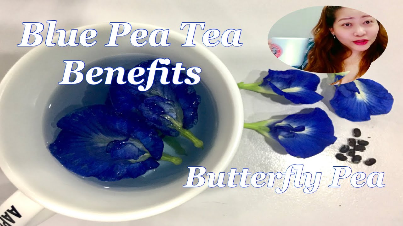 Blue Pea Tea Butterfly Pea Blue Ternate Pea Benefits & Side