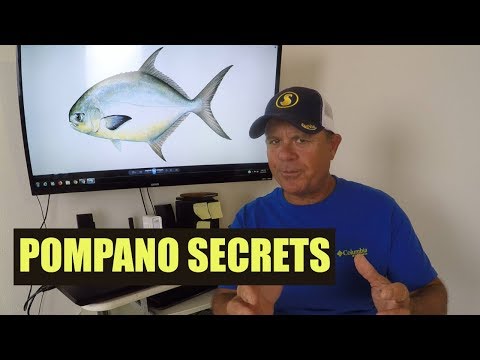 How To Catch Pompano (Tips For Surf And Inlet Fishing With Jigs)