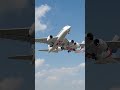 ✈️ Close Call in the Sky! Two Planes Nearly Collide Mid-Air 😱 #birds #shotrs #airplane