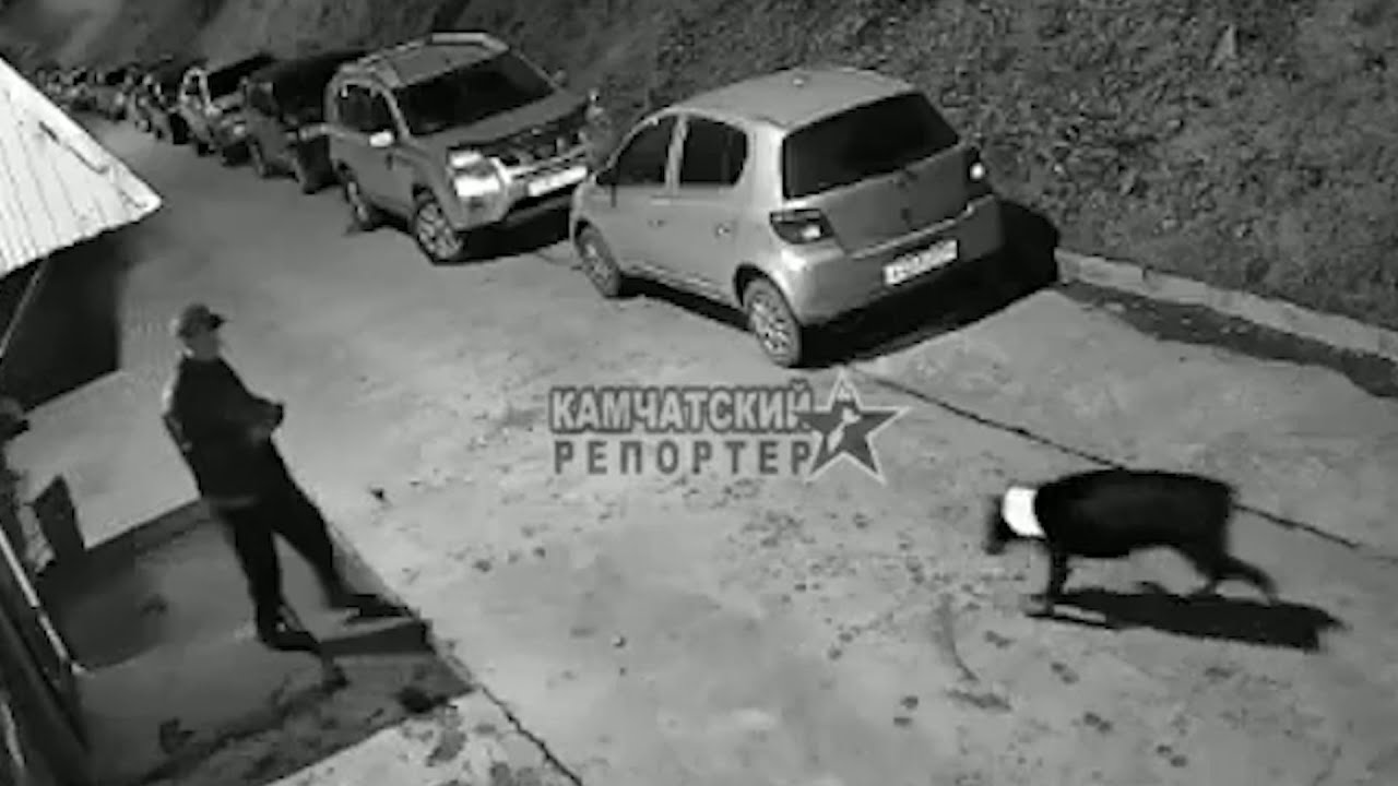 САМ СЕБЕ ХОЗЯИН? | Новости Камчатки | Масс Медиа - YouTube