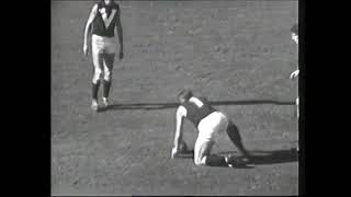 Best of John Nicholls of Carlton