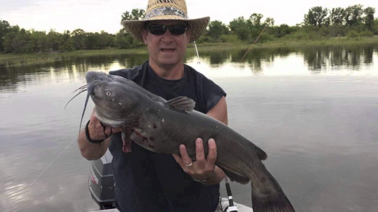 Catfishing slide show. Whisker Seeker Tackle in action YouTube