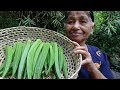 Healthy Village Foods ❤ Village Style Okra Fry Recipe by our Mom