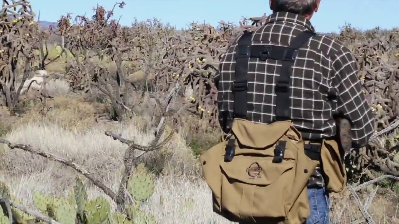 Gambel's Quail Hunting by Q5 Outdoor Products YouTube