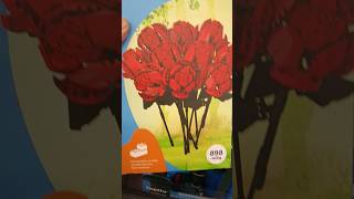 Lidl Lupilu Blumen Sträuse