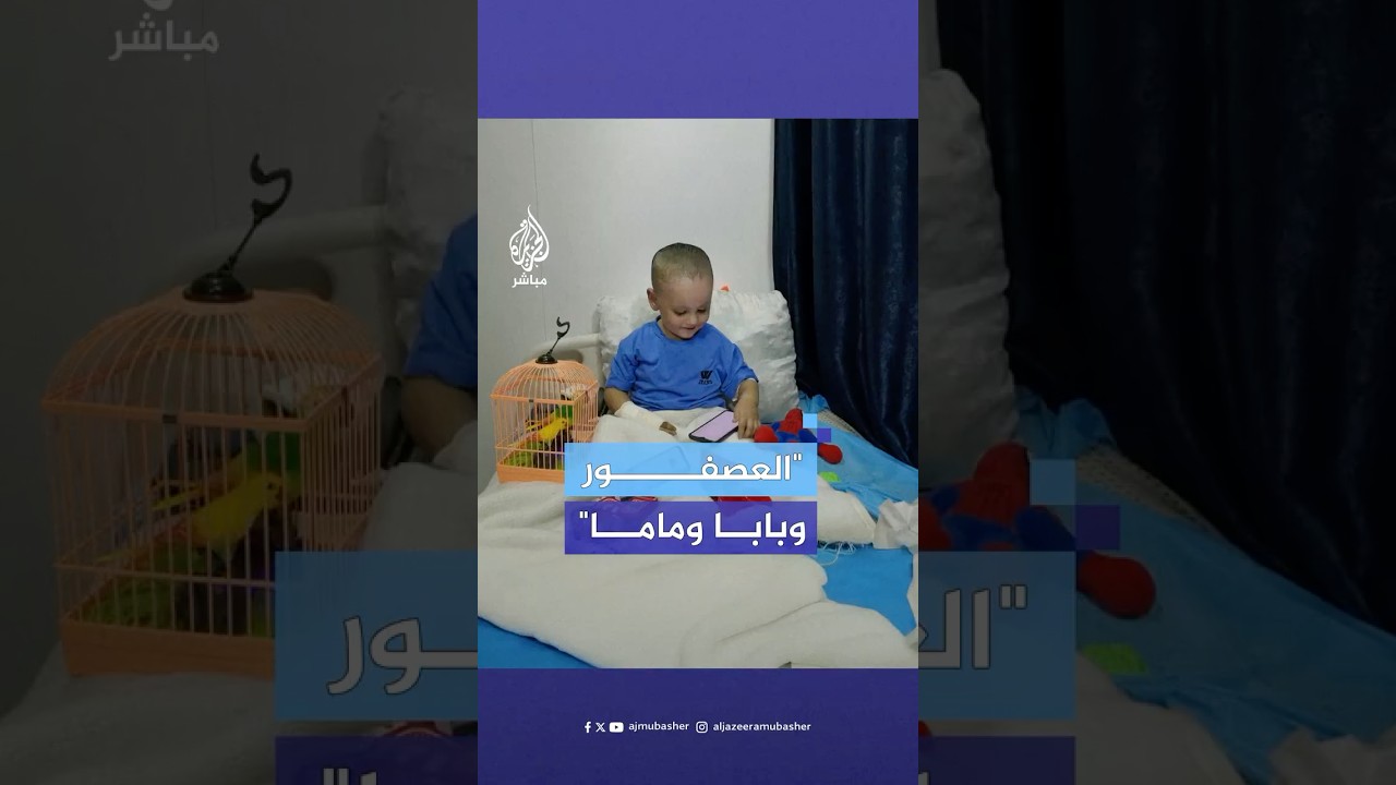 الطفل جمال فقد والده وأمه وعددا من أقاربه بقصف إسرائيلي لبيت حانون في شمال قطاع #غزة