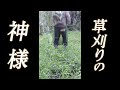 “草刈りの神様”がいて草