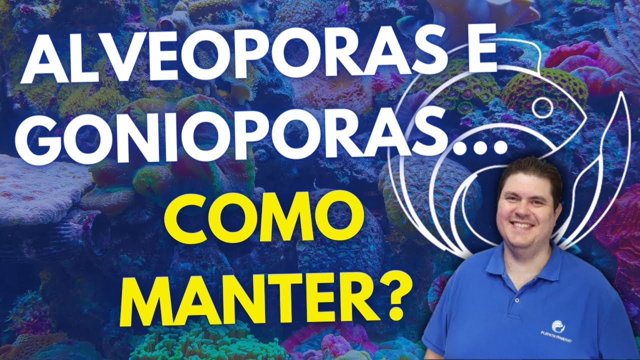 ALVEOPORAS E GONIOPORAS... COMO MANTER?