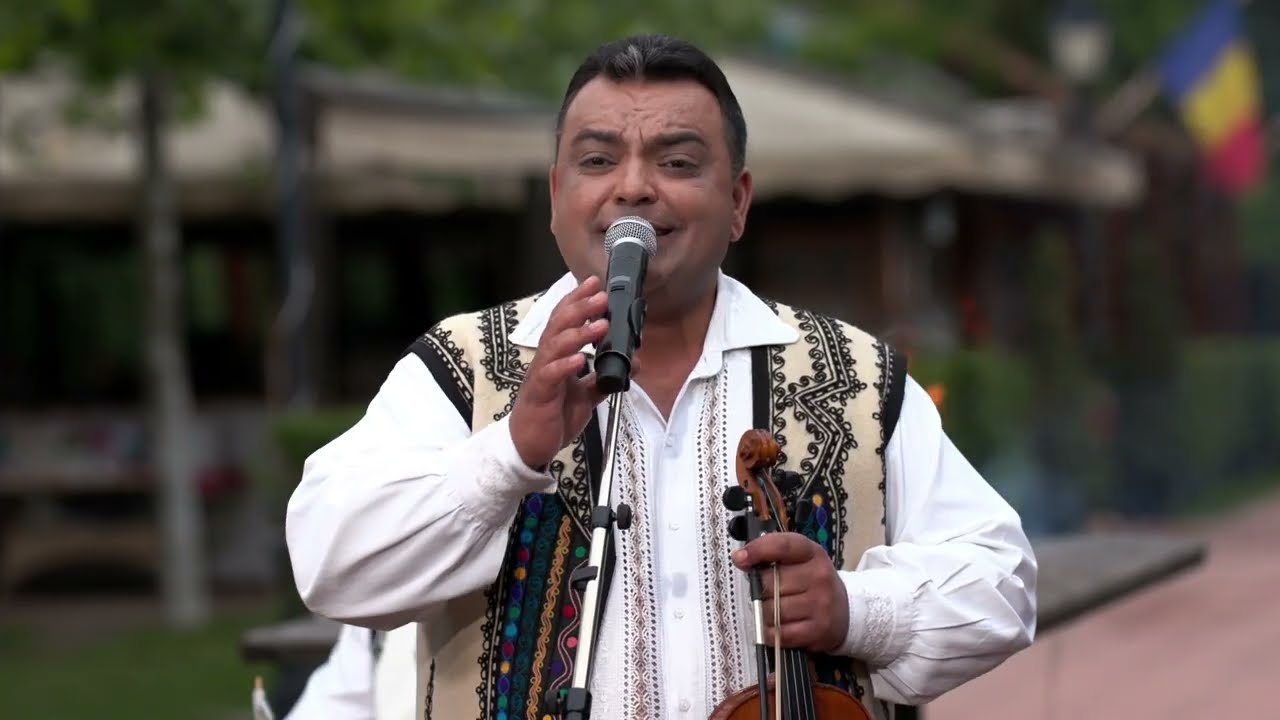 Constantin Lataretu - Maica draga, pentru tine