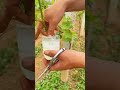 #youtubeshorts #viral #shortsvideo #trending