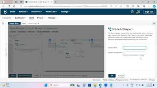 DELL BOOMI by SIVA - 9908084251- Branch and Decision Shape