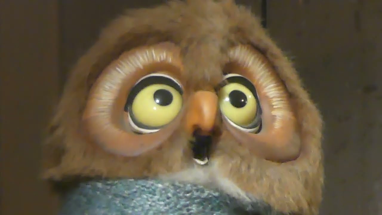 Barn Owl Close Up - Splash Mountain, Disneyland