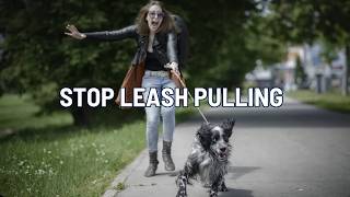 How to Stop Your Dog From Pulling on the Leash | Dog Works Radio