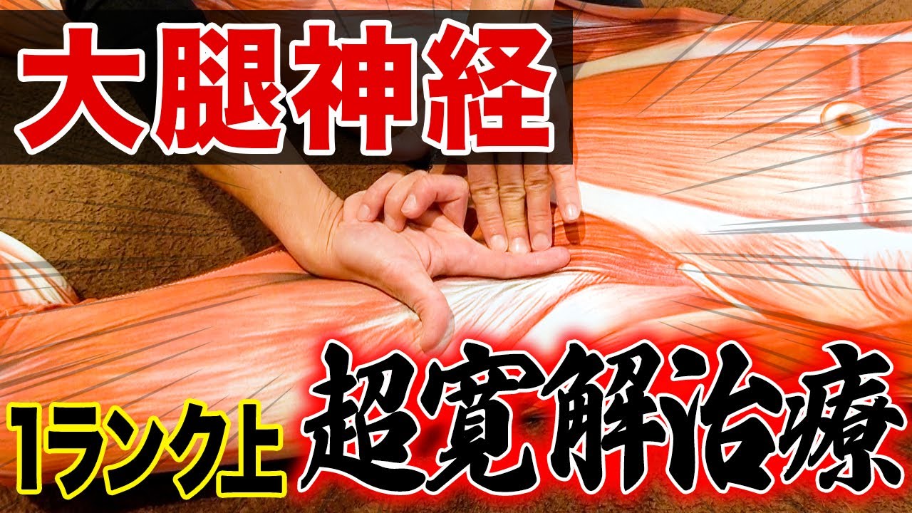 【全治療家必見】大腿神経を狙った1ランク上の治療テクニックで股関節・太ももが劇的に楽になります！