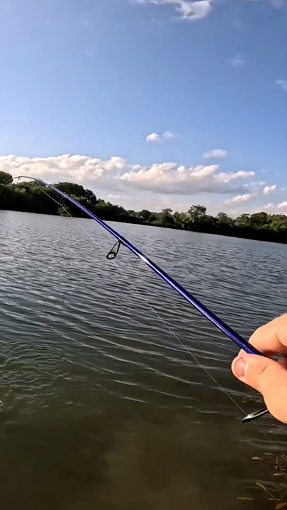 Hump Head Looking Bass