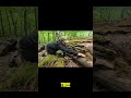 He Turned a Dead Tree Into a Secret Hidden Hideout 🌲#camping #survival #shorts