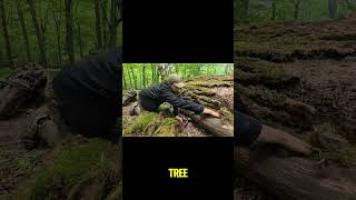 He Turned a Dead Tree Into a Secret Hidden Hideout 🌲#camping #survival #shorts