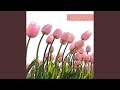 Flower Wind 