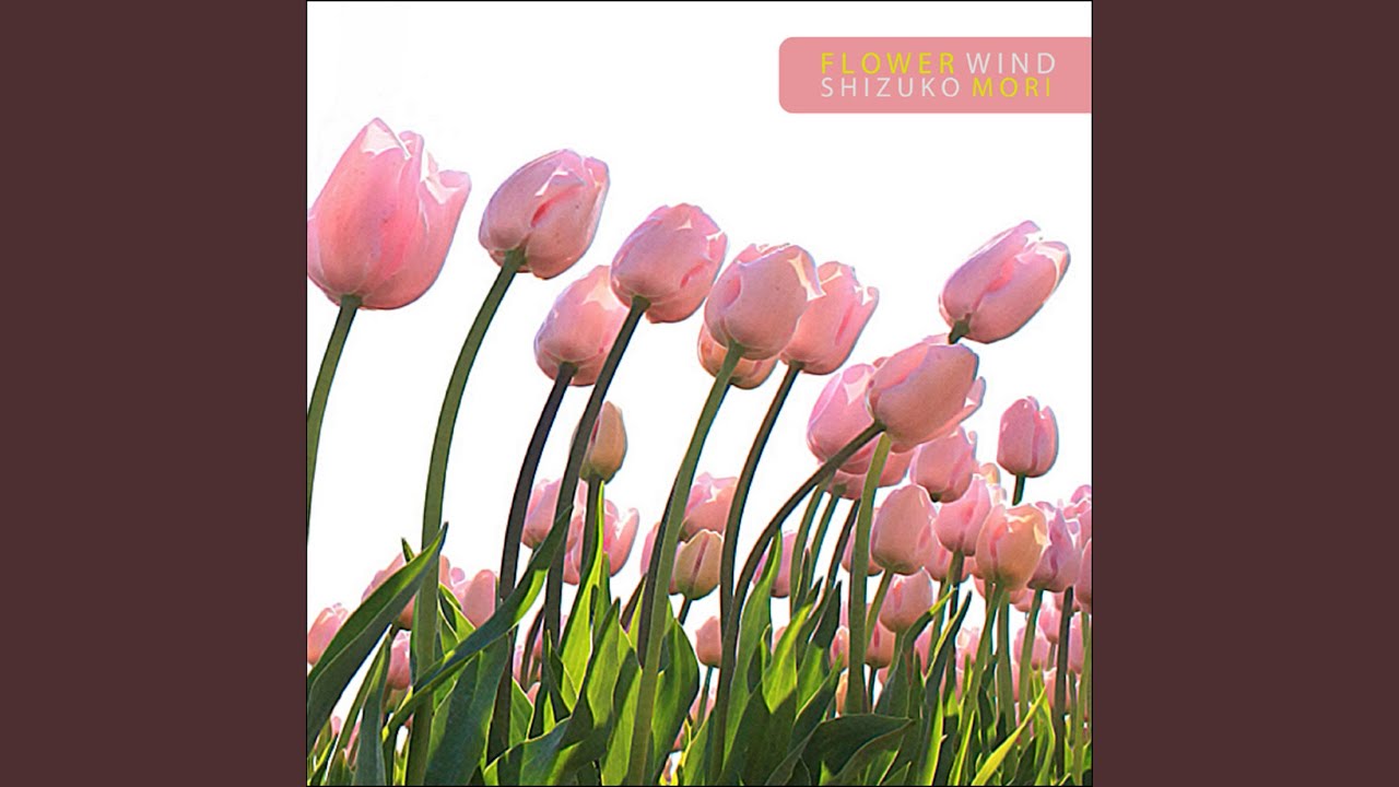 Watch Flower Wind on YouTube Watch Flower Wind on YouTube