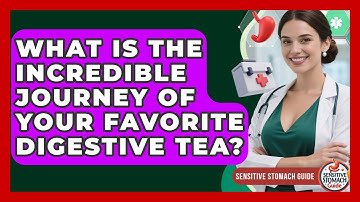 What Is The Incredible Journey Of Your Favorite Digestive Tea? - Sensitive Stomach Guide