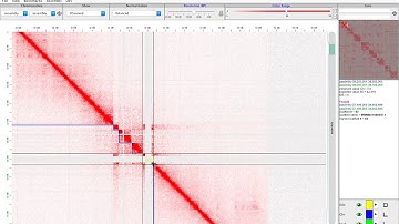 Using Juicebox Assembly Tools to assemble the barrel medic
