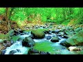 Relaxing River Sounds 🌊 10 Hours Deep Sleep | Nature ASMR White Noise