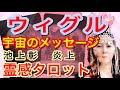 【占い】ジェノサイド 我々への宇宙からのメッセージ 池上彰の炎上 霊感タロット