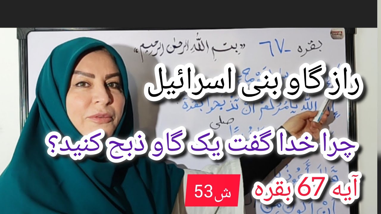 راز گوساله بنی اسراييل!؟چرا خدا گفت یک گوساله ذبح کنید؟ - YouTube