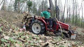 Zwożenie drewna na dwa traktorki /Yanmar F17D+ Kubota GL32